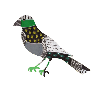 A green bird.